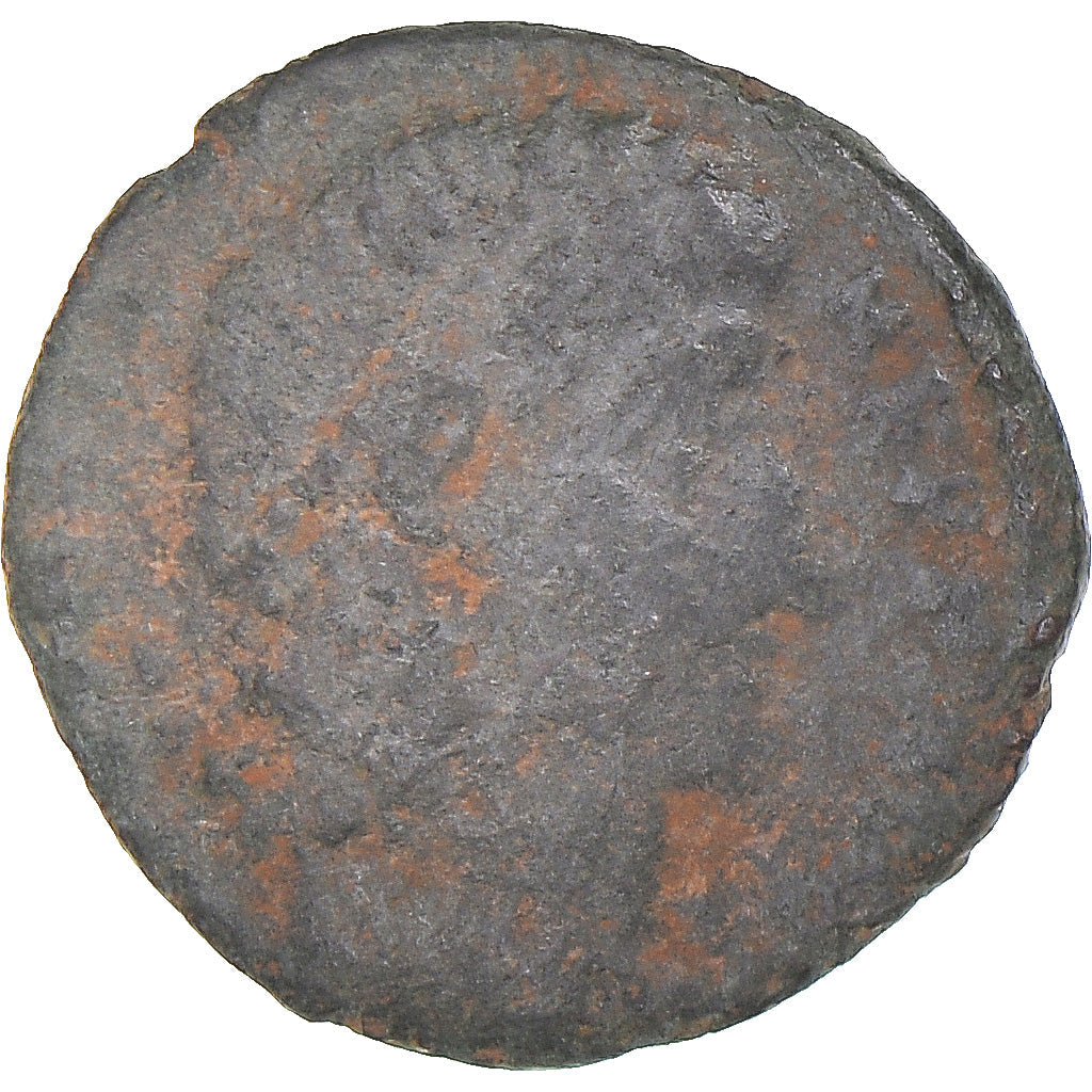 Mince,
Constans,
Follis