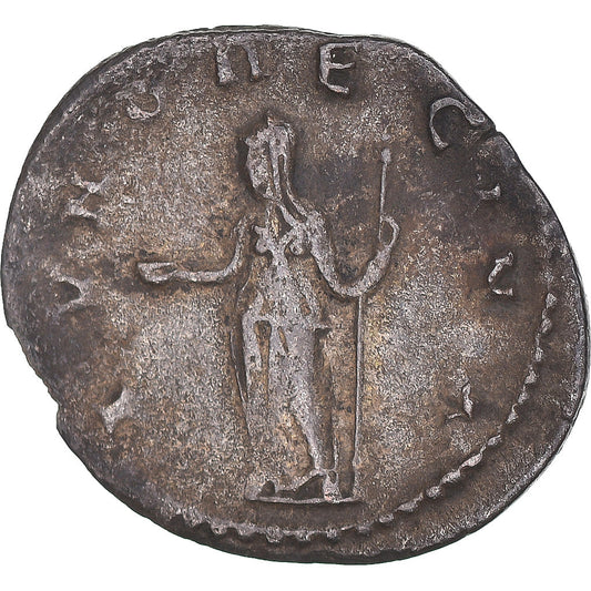 Mince,
Salonina,
Antoninianus