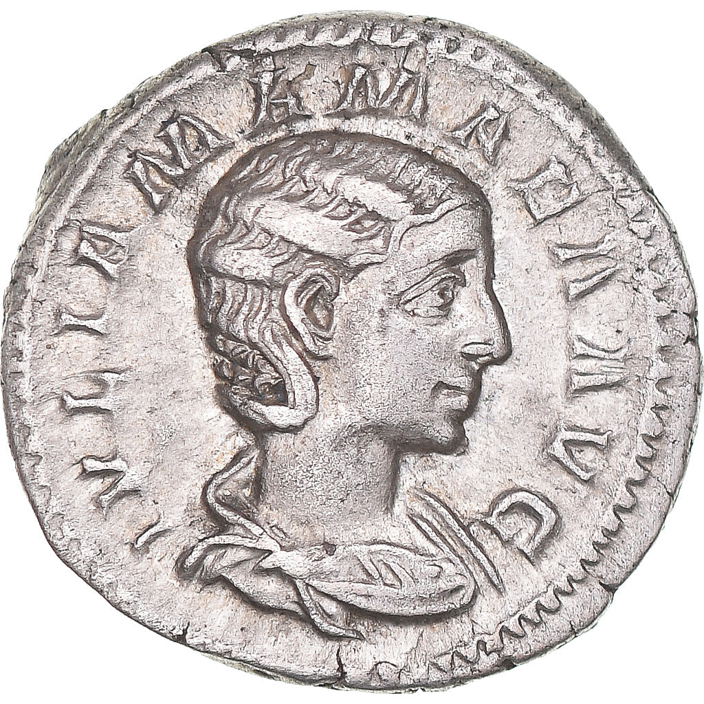 Mince,
Julia Mamaea,
denár