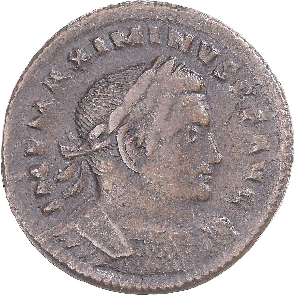 Mince,
Maximinus II,
Æ