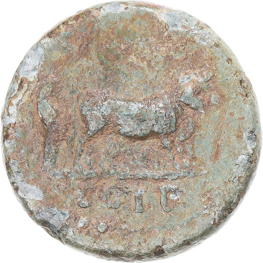 Mince,
mysia,
Nerva