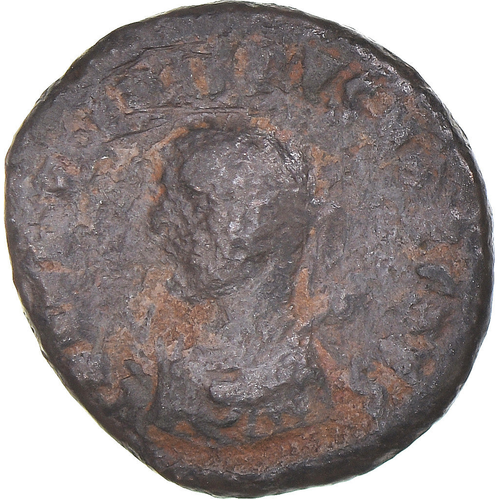 Mince, 
  
  crispus, 
  
  Follis