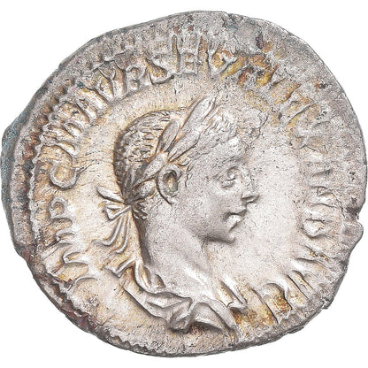 Mince, 
  
  Severus Alexander, 
  
  denár
