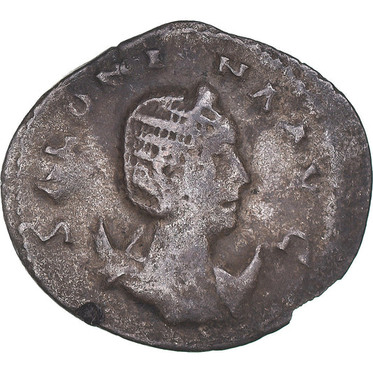 Mince, 
  
  Salonina, 
  
  Antoninianus