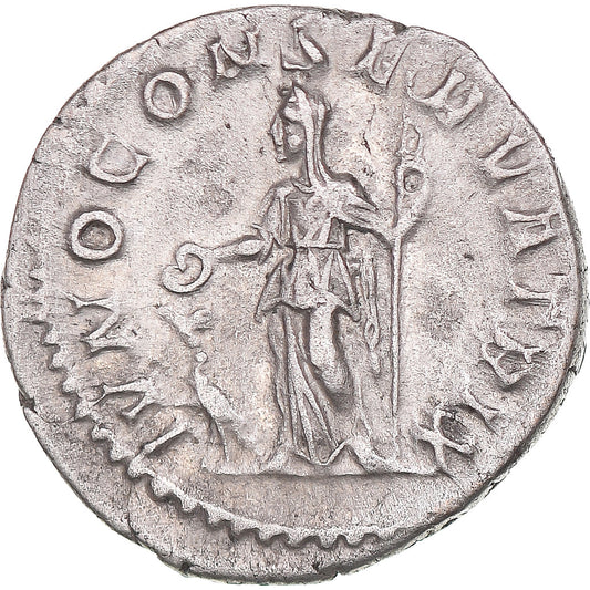 Mince, 
  
  Julia Mamaea, 
  
  denár