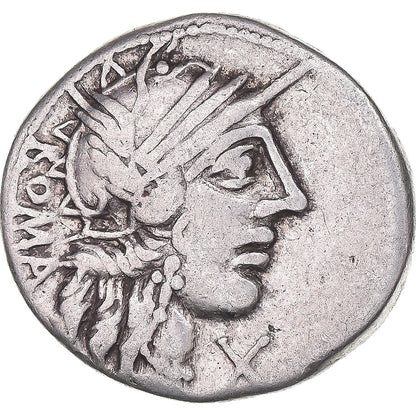Mince, 
  
  Fannia, 
  
  denár