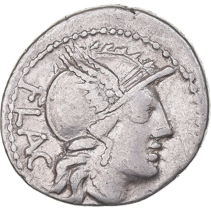 Mince, 
  
  rutilie, 
  
  denár