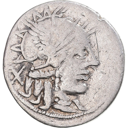 Mince, 
  
  papiria, 
  
  denár