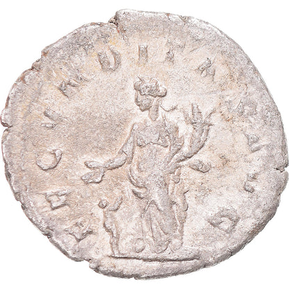 Mince, 
  
  Herennia Etruscilla, 
  
  Antoninianus