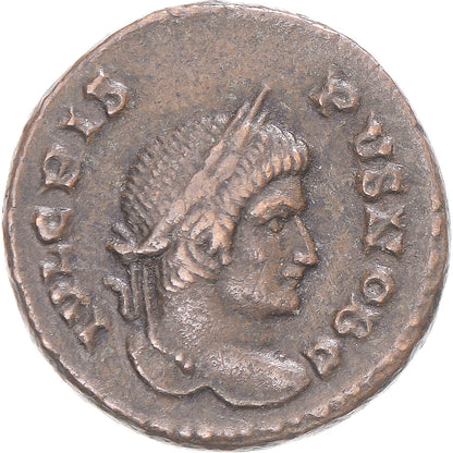 Mince, 
  
  crispus, 
  
  Bronz Æ