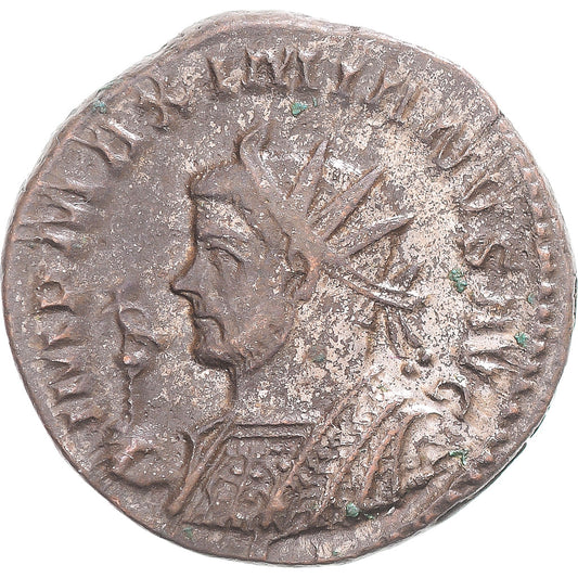 Mince, 
  
  Maximianus, 
  
  Antoninianus