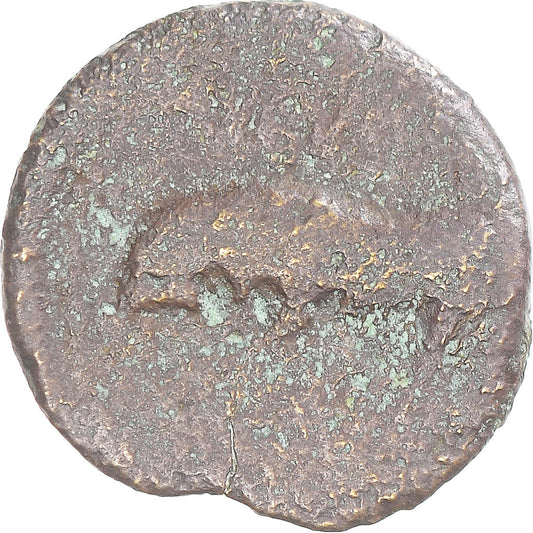 Mince, 
  
  Augustus, 
  
  Kvadrany