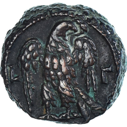 Mince, 
  
  Egypt, 
  
  Probus