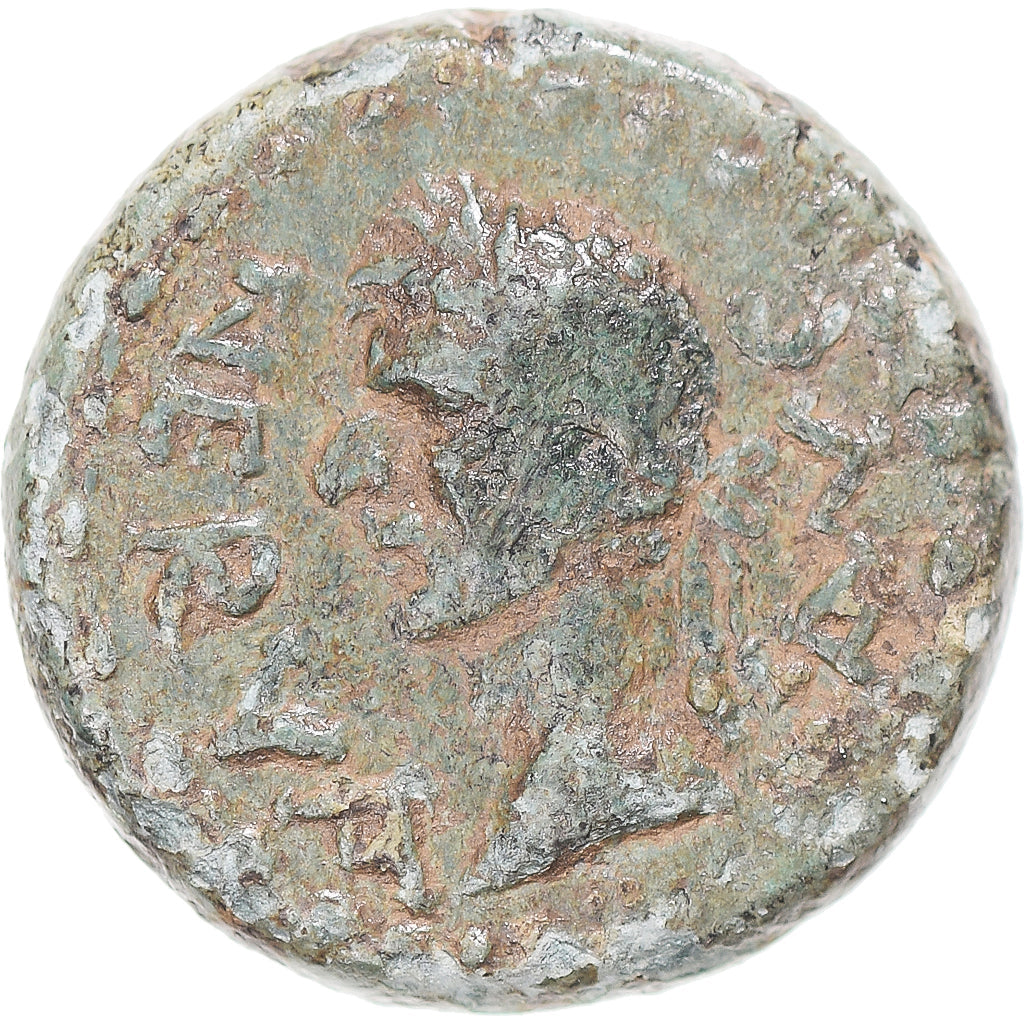 Mince, 
  
  mysia, 
  
  Nerva