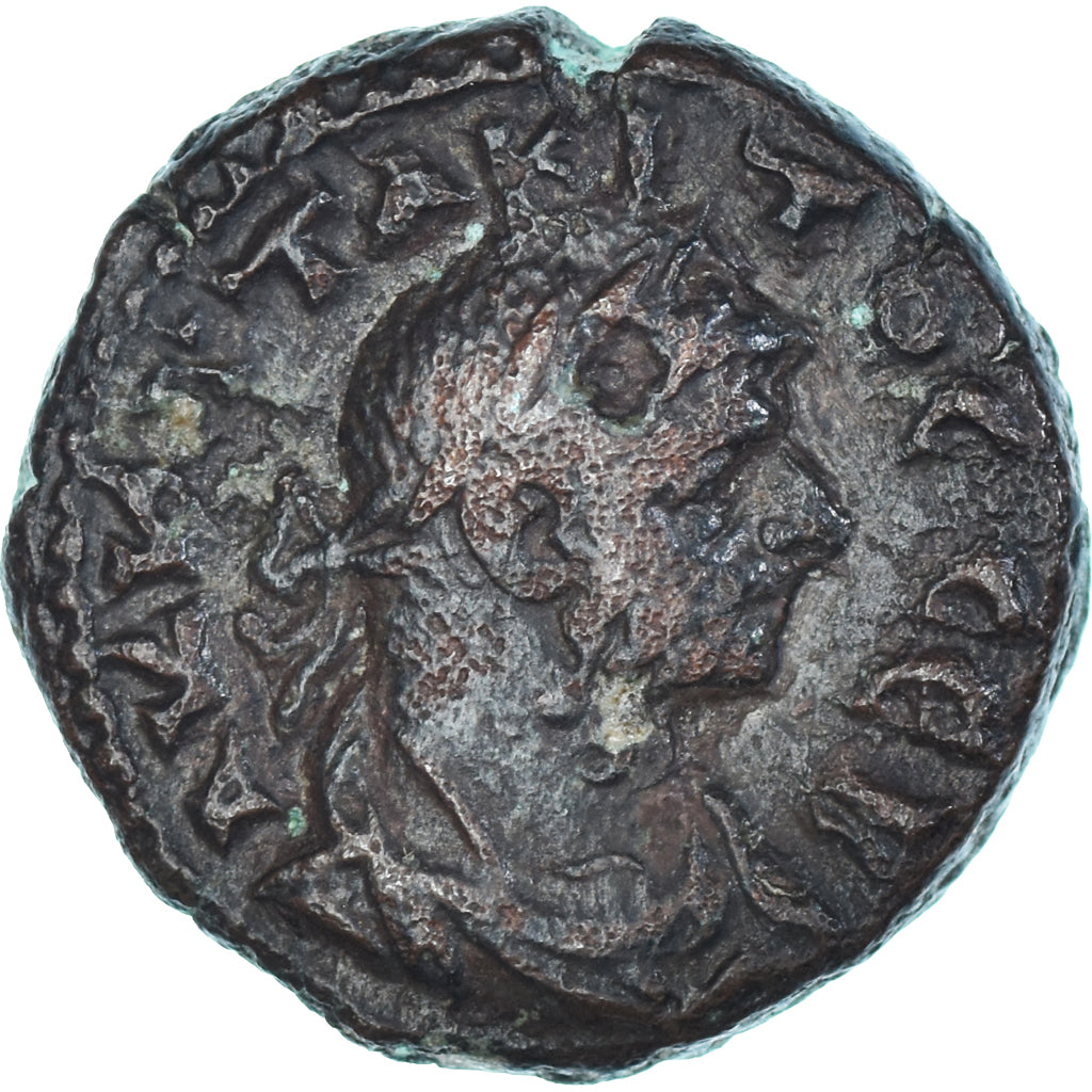 Mince, 
  
  Egypt, 
  
  Tacitus