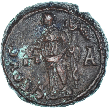 Mince, 
  
  Egypt, 
  
  Tacitus