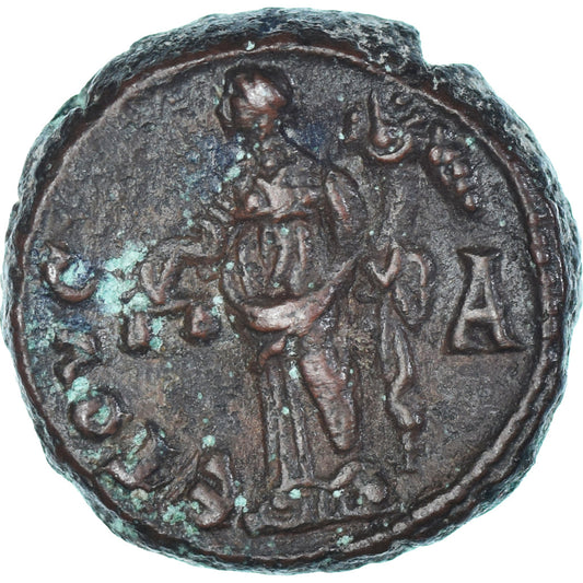 Mince, 
  
  Egypt, 
  
  Tacitus