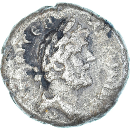 Mince, 
  
  Egypt, 
  
  Antoninus Pius
